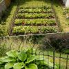 img-0e48c29dc80e06638f4d Metal Garden Fence 60cm x 3.3m