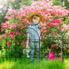 img-76b2a72387893d54760a Metal Garden Fence 60cm x 3.3m
